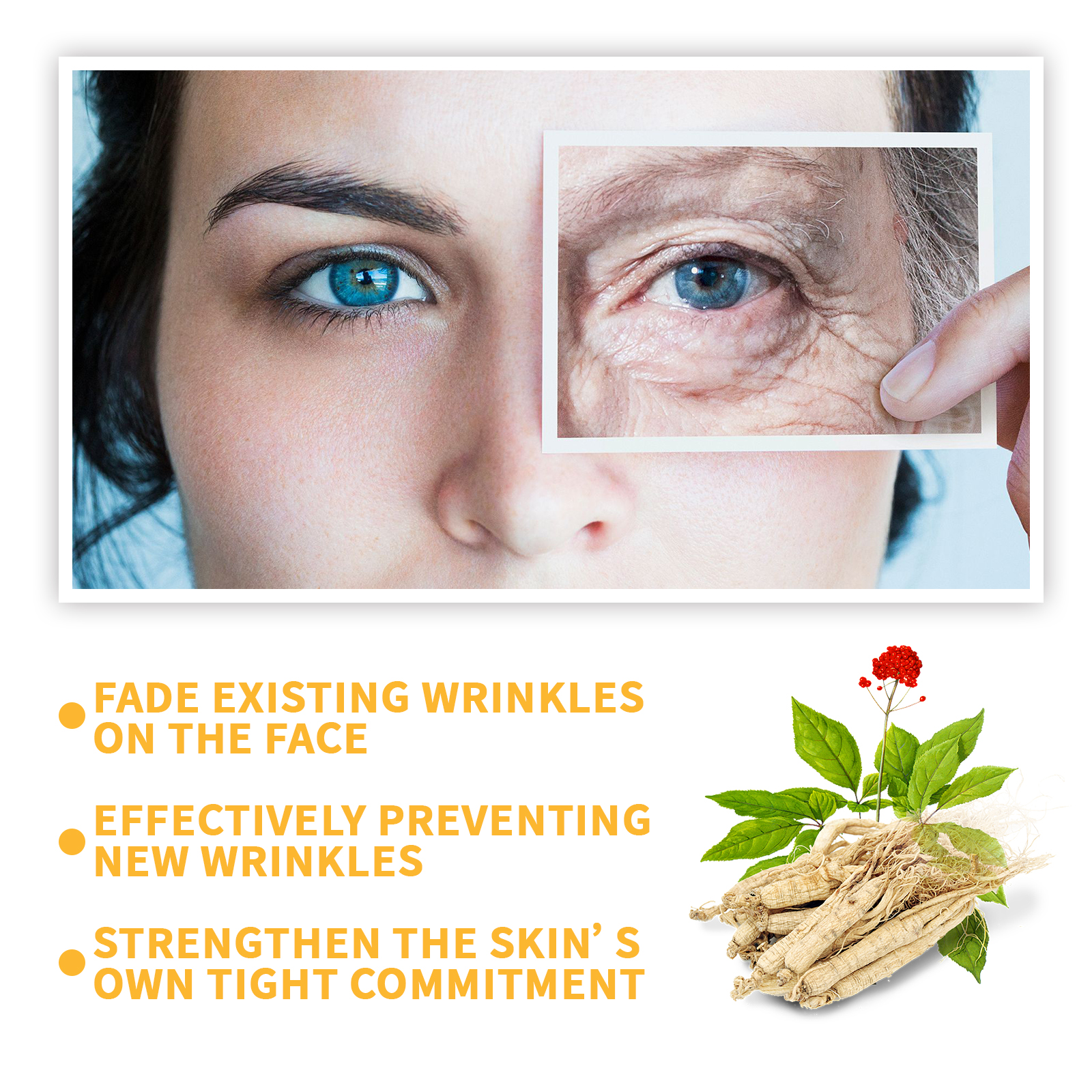 Ginseng Essence Anti Wrinkle L – Growth Factor Serum Bewertung und Preis
